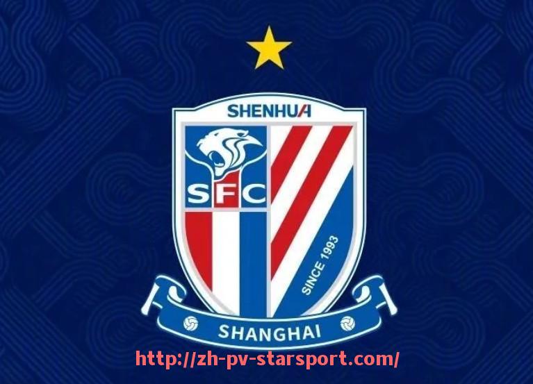 星空体育app-法甲球员伤病统计及对球队表现的影响分析