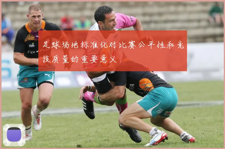 足球场地标准化对比赛公平性和竞技质量的重要意义